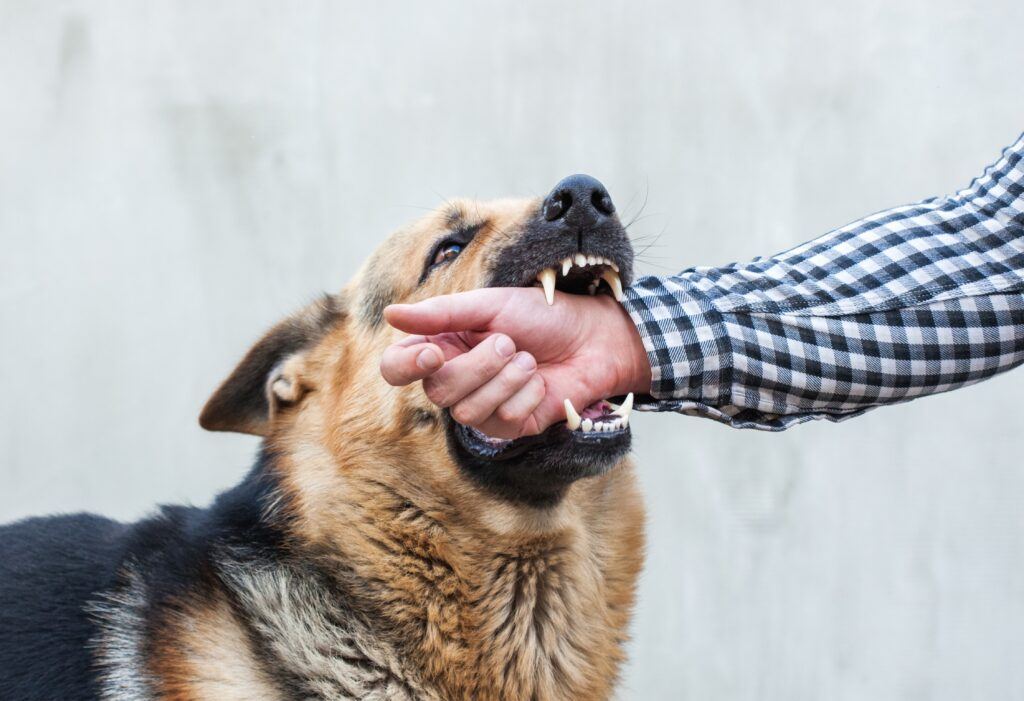 Recovering Damages for a Dog Bite Injury Isn’t Automatic